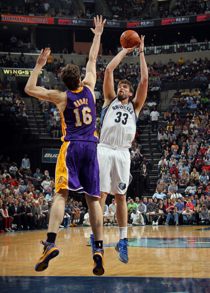 的重要保障 的重要保障