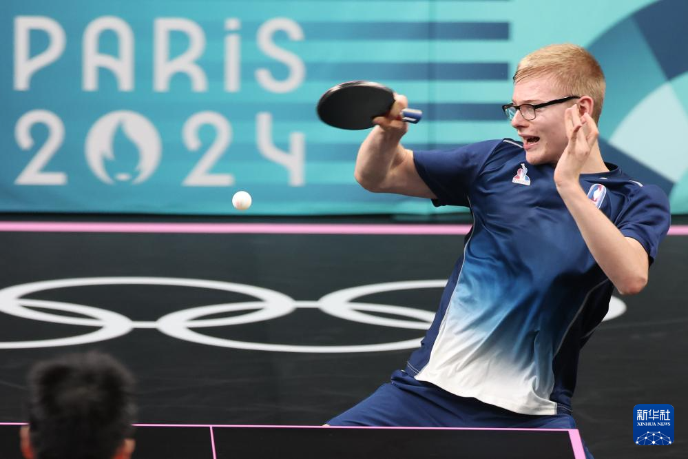 的多样性 的多样性