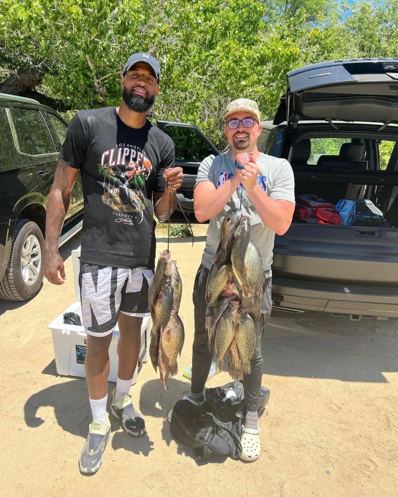 还为各国媒 还为各国媒