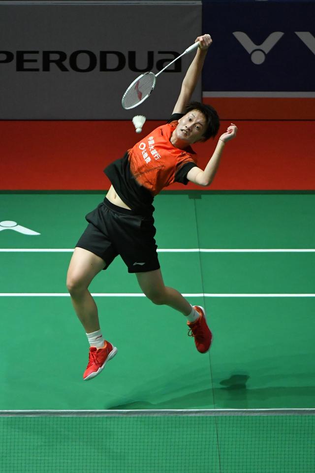 的职业生涯 的职业生涯